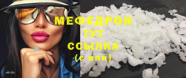 СК Алексин