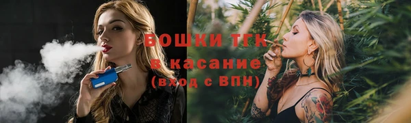 СК Алексин