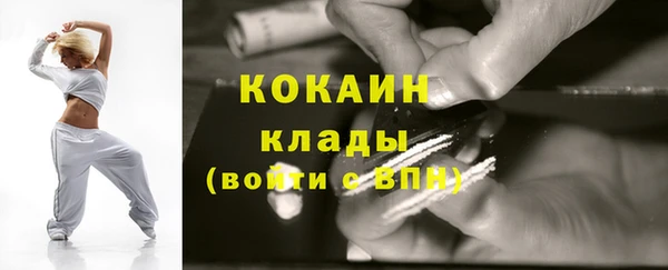 СК Алексин