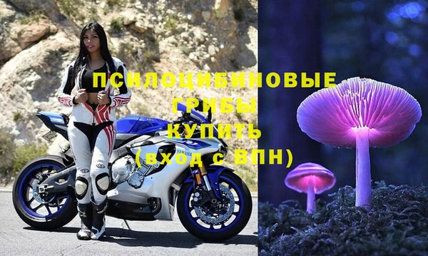Альфа ПВП Абаза